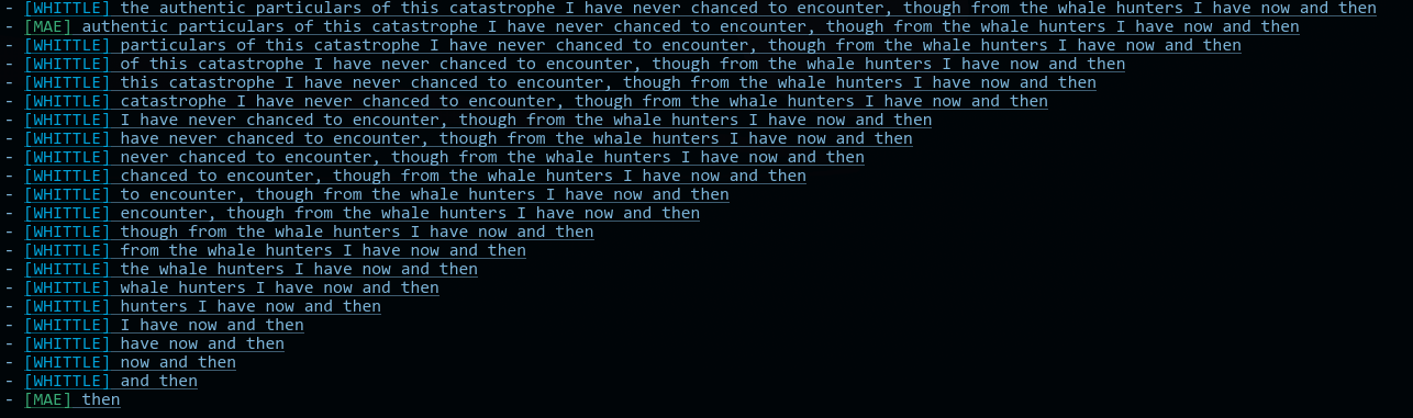 Terminal output showing repeated whittle operations reducing a text sequence to the MAE token then